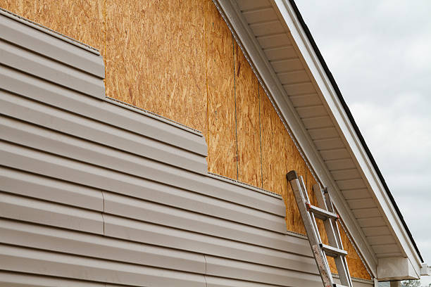 Professional Siding Inspection technician working in Itasca, TX